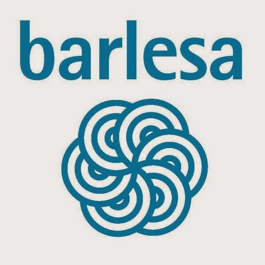  Barlesa Steel Wool