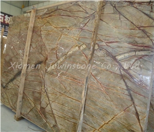 Polished Rainforest Brown / Gold Marble Slabs Tiles for Walling, Flooring,Etc