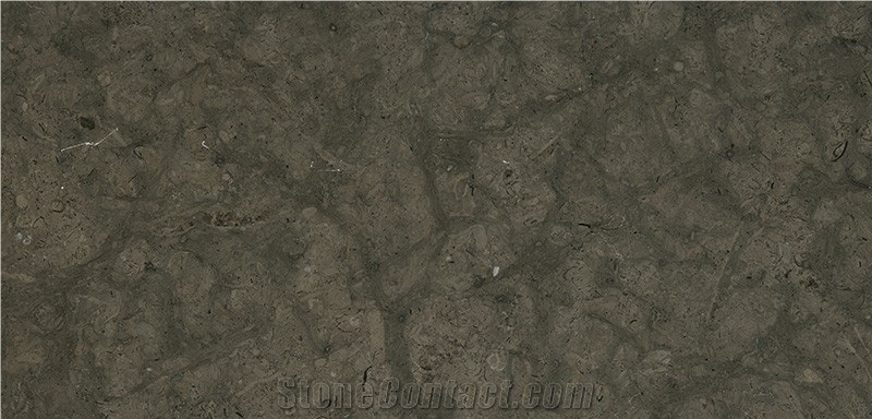 Chambord Limestone Tiles & Slabs, Grey Limestone Floor Covering Tiles