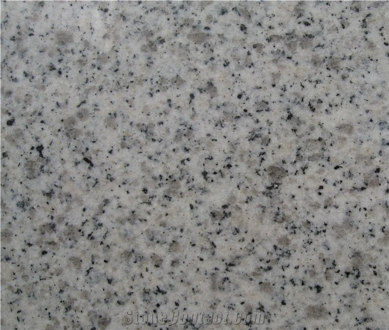 G365 Sesame White Granite,Shandong Sesame White, White Granite, Muping White Granite Slabs & Tiles