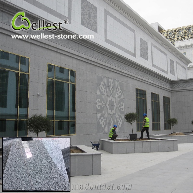Wholesale Factory Customized Flamed Finished G603 Lunar Pearl Grey Granite Tile