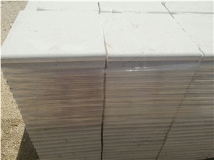Shell Stone Pool Coping