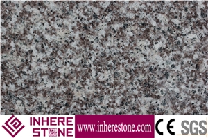 064s,Bainbrook Brown,Black Spots Brown Granite,Coffee,Copper Brown,Violet Of Luoyuan G664 Granite Polished Slabs & Tiles