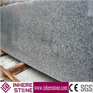 Padang Grigio Stone G640 Barry White Granite Thin Slabs,G3540 Granite China Bianco Sardo,Cut to Size Spotted Zebra Granite Tiles