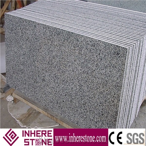 Padang Grigio Stone G640 Barry White Granite Thin Slabs,G3540 Granite China Bianco Sardo,Cut to Size Spotted Zebra Granite Tiles
