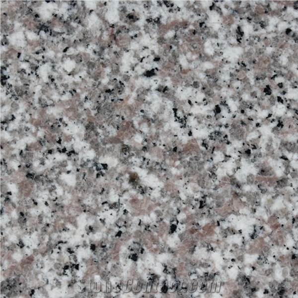 Polished G636 Granite/G3536 Granite/Apple Pink Granite/Almond Pink Granite/Padang Rosa Granite