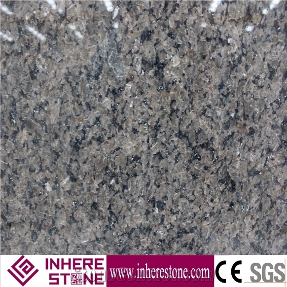 Polished Tropic Brown Granite Slab & Tile, China Black Granite