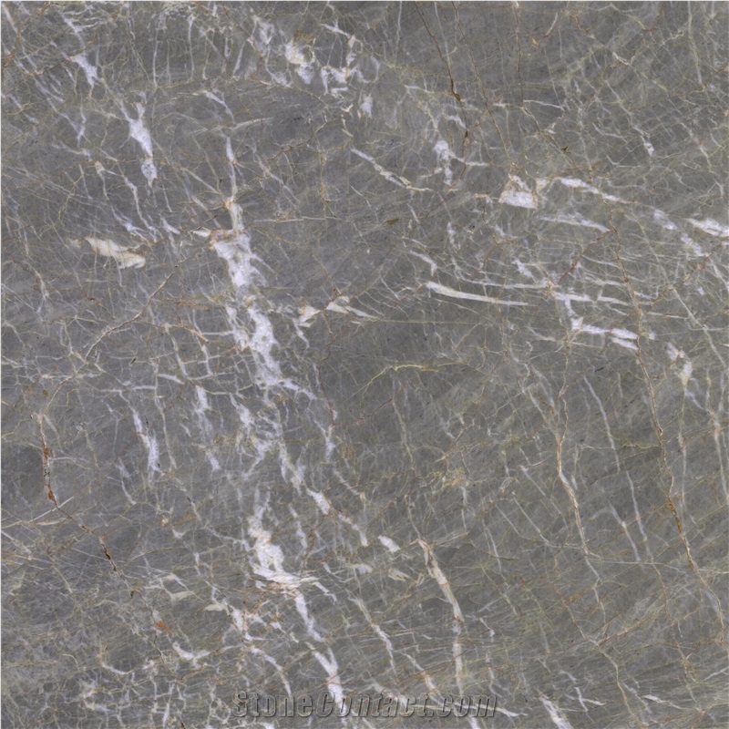 Poly Gold Marble Slabs & Tiles