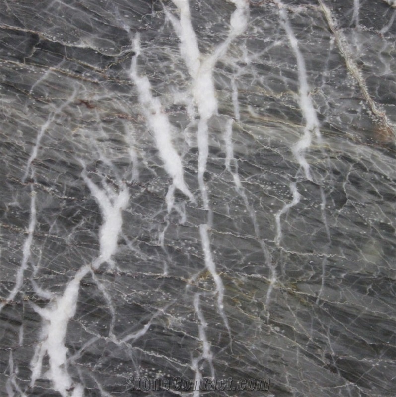 Rome Gray Marble Slabs & Tiles, China Grey Marble
