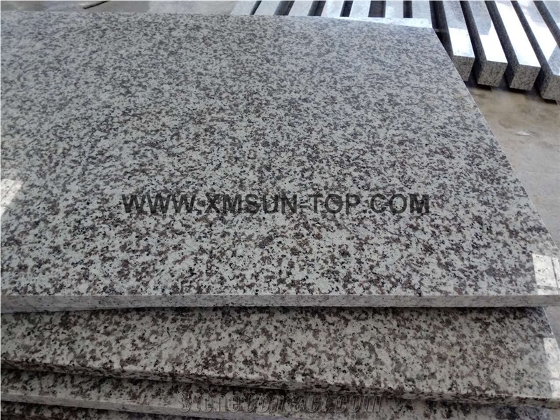 G439 Granite Tile/Slab/Cut to Size/China Bianco Sardo/Big Flower White Granite/Big Flower Granite/Puning White/Floor & Wall Paving/Polished