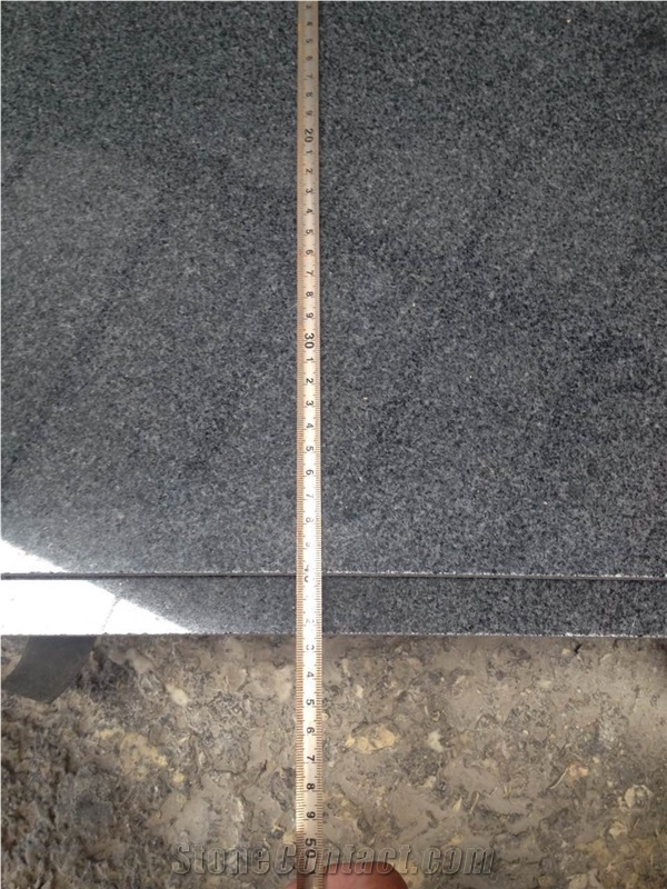 G654 Impala Black Sesame Granite Rain Drainage Pavers Flooring Covering