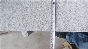 China Zima White Granite G603,Fujian Old G603, Original G603, Grey Granite, Chinese Grey Sardo, New Grey Sardo,Stair, Caps, Wall Caps, Pool Coping, Bullnose Coping, Chamfered Coping