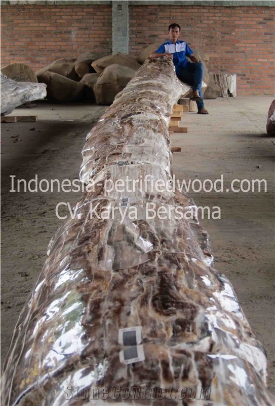Petrified Wood Log, Petrified Wood