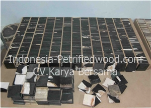 Petrified Wood Tiles & Slabs