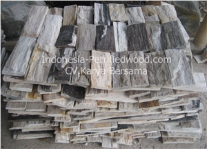 Petrified Wood Tiles & Slabs
