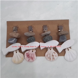 Shells and Rock Tablecloth Weights