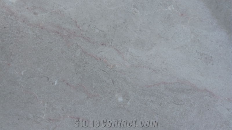 Caesar Grey Marble Polished Slabs Tiles, China Grey Marble