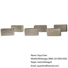 Multi Blade and Segment