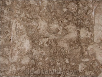 Desert Bronze Marble tiles & slabs, polished marble floor covering tiles, walling tiles 