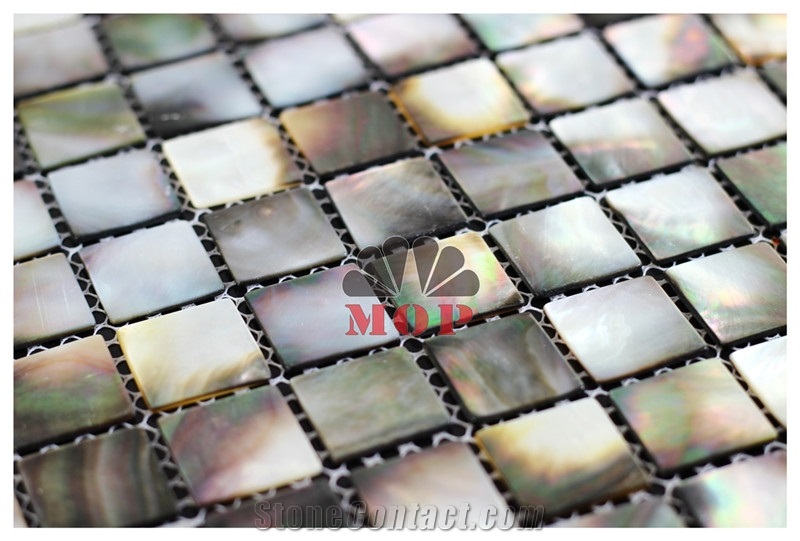 Art Design Background Shell Mosaic Wall Tile