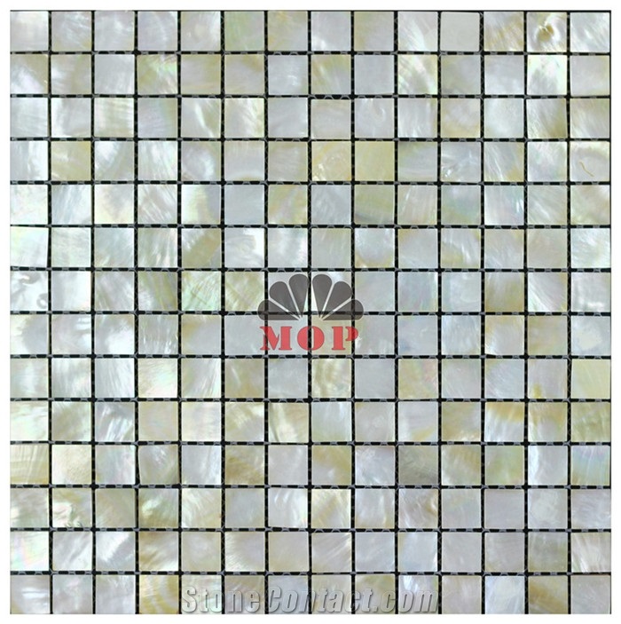 Honed Backsplash Shell Mosaic Wall Tile Entryway