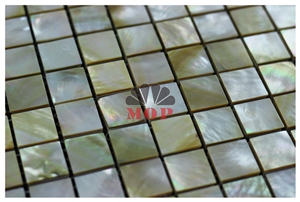 Honed Backsplash Shell Mosaic Wall Tile Entryway