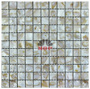 Indoor Wall Tile Pearl Shell Mosaic Kitchen