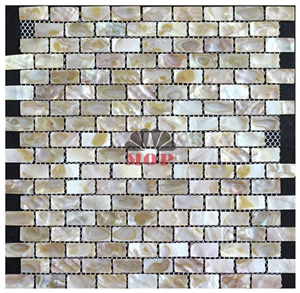 Rectangle Floor Wall Tile Pearl Shell Mosaic