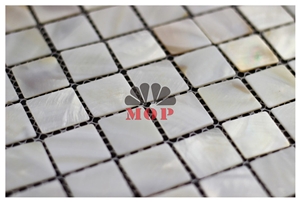 Square Mesh Back Ceramic Shell Board Wall Mosaic