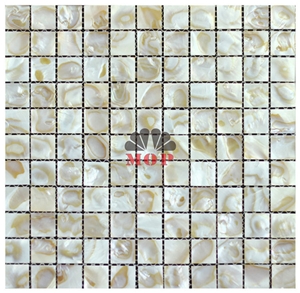 Square Spray River Shell Mosaic for Washroom