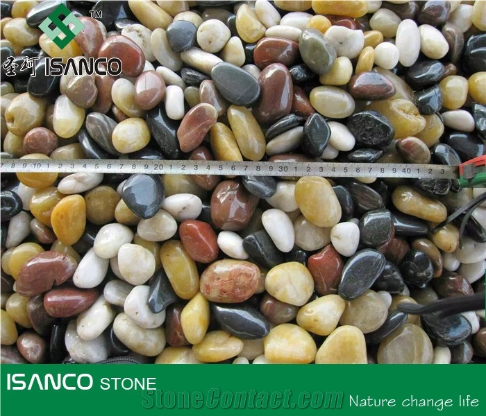 Natural Stone Mixed Pebble Stone Colorful River Stone Polished Stone Gravel Polished Pebbles Supply Large Quantity Pebble Walkway Cobble Stone Natural Stone for Driveway