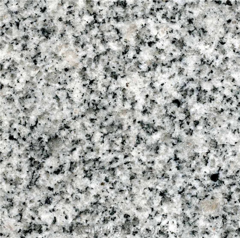 New G603 Granite Slab & Tile, China White Granite Slab, Chinese New Grey Granite Slab, Grey Polished Slab