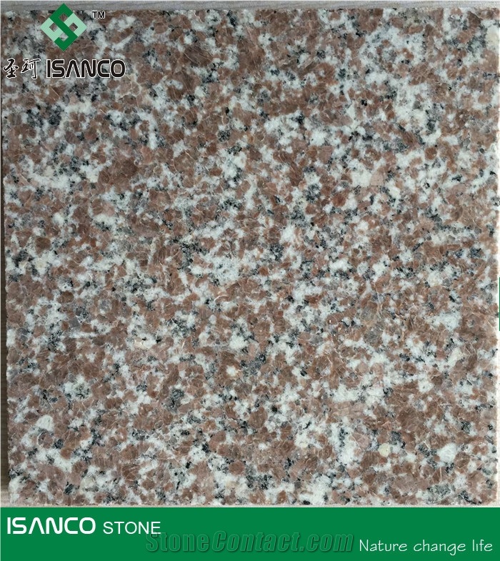 Shandong Haiyang Red Granite Cheap Red Granite Tiles for Building G363 Granite Slabs Granite Wall Tiles G363 Red Granite Floor Tiles Red Granite G363 Skirting Shandong Granite from Own Quarry