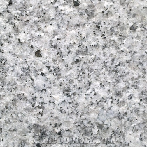 Grey Peral Granite / Luna Peral Granite / Samson White Granite from ...