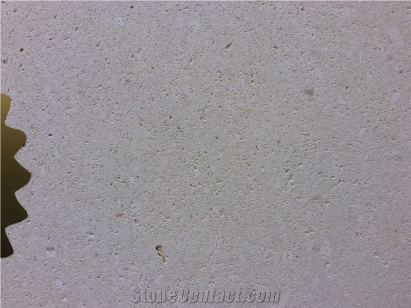 Bone Light Limestone Tiles & Slabs, White Limestone Floor Covering Tiles, Walling Tiles