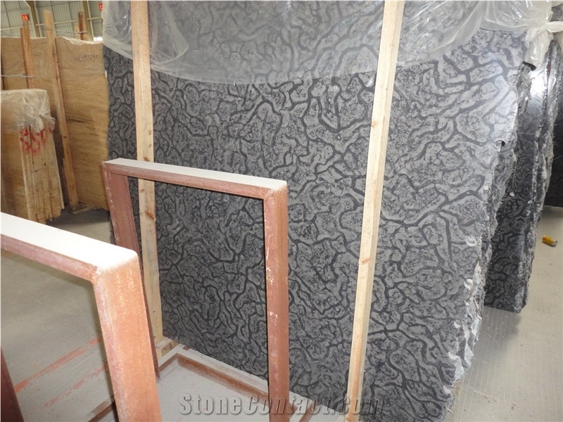 China Black Oracle Marble Slabs / Nero Turtle Vento Marble Tiles Customized Skirting for Hotel Walling & Flooring