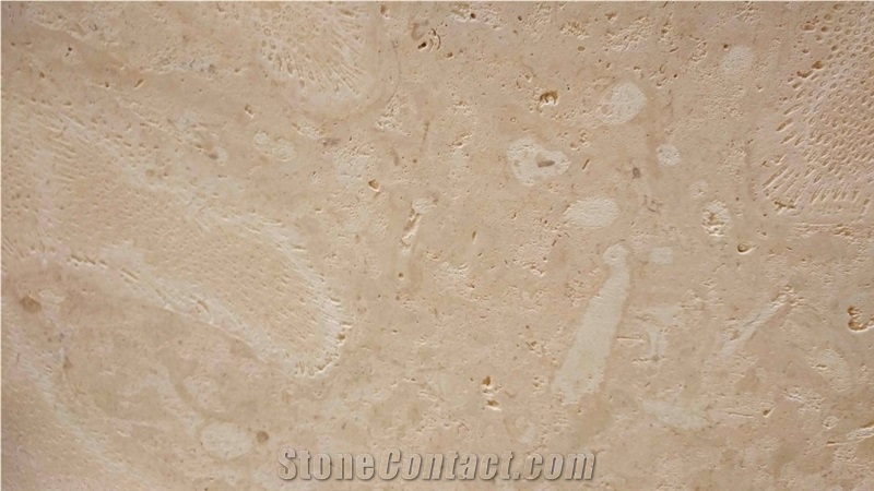 Classic Coral Stone, Golden Coral Stone Slabs