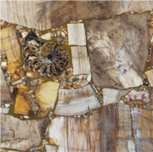 Tiles and Slabs Of Woodstone,Fossil,Crystal Natural, Pervious to Light Agate,Background Stone,Gemstone, Precious Stone