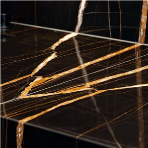 Noir Aziza Black Gold Marble Polished Slabs & Tiles