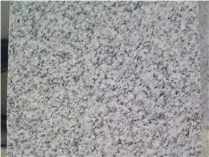 North G603 White Sesame Granite Slabs Tiles Competitive Prices