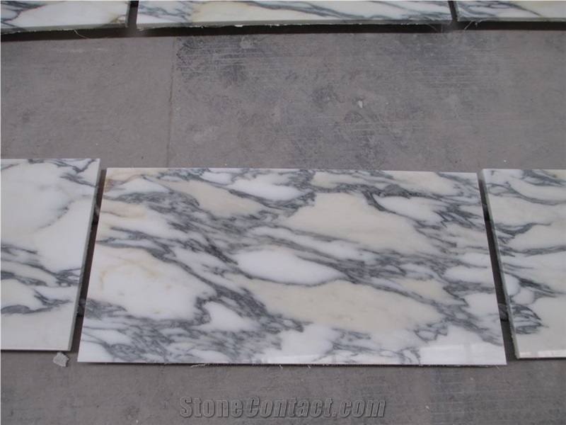 Arabescato Corchia Marble,Italy White Marble with Veins Slabs & Tiles