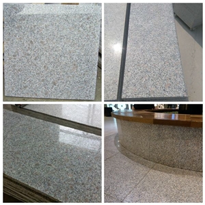 Competitive Price with Reliable Quality for G383 Polished Granite/Pearl Flower Granite/Grey Pearl Granite/China Grey Granite