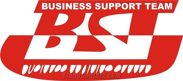 Business Support Team LLC