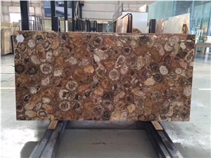 Petrified Wood Gemstone Tiles Gemstone Slabs