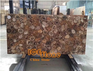 Petrified Wood Slab Gemstone/ Semi Precious Stone Panels