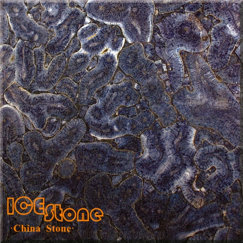 Purple Coral Fossils Semi Precious Stone Panels Gemstone Slabs