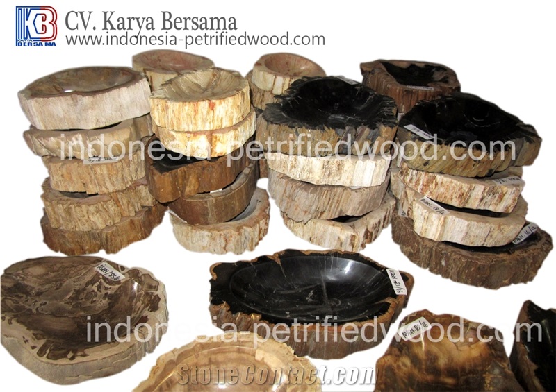 Petrified Wood Ashtrays