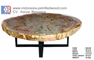 Petrified Wood Table Interior Furniture
