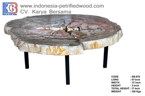 Petrified Wood Table Interior Furniture