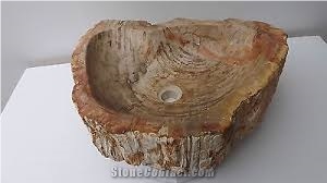 Natural Petrified Wood and River Stone